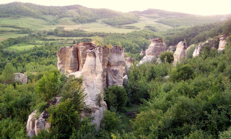 Excursie la Grădina Botanică Jibou Excursie la Grădina Botanică Jibou